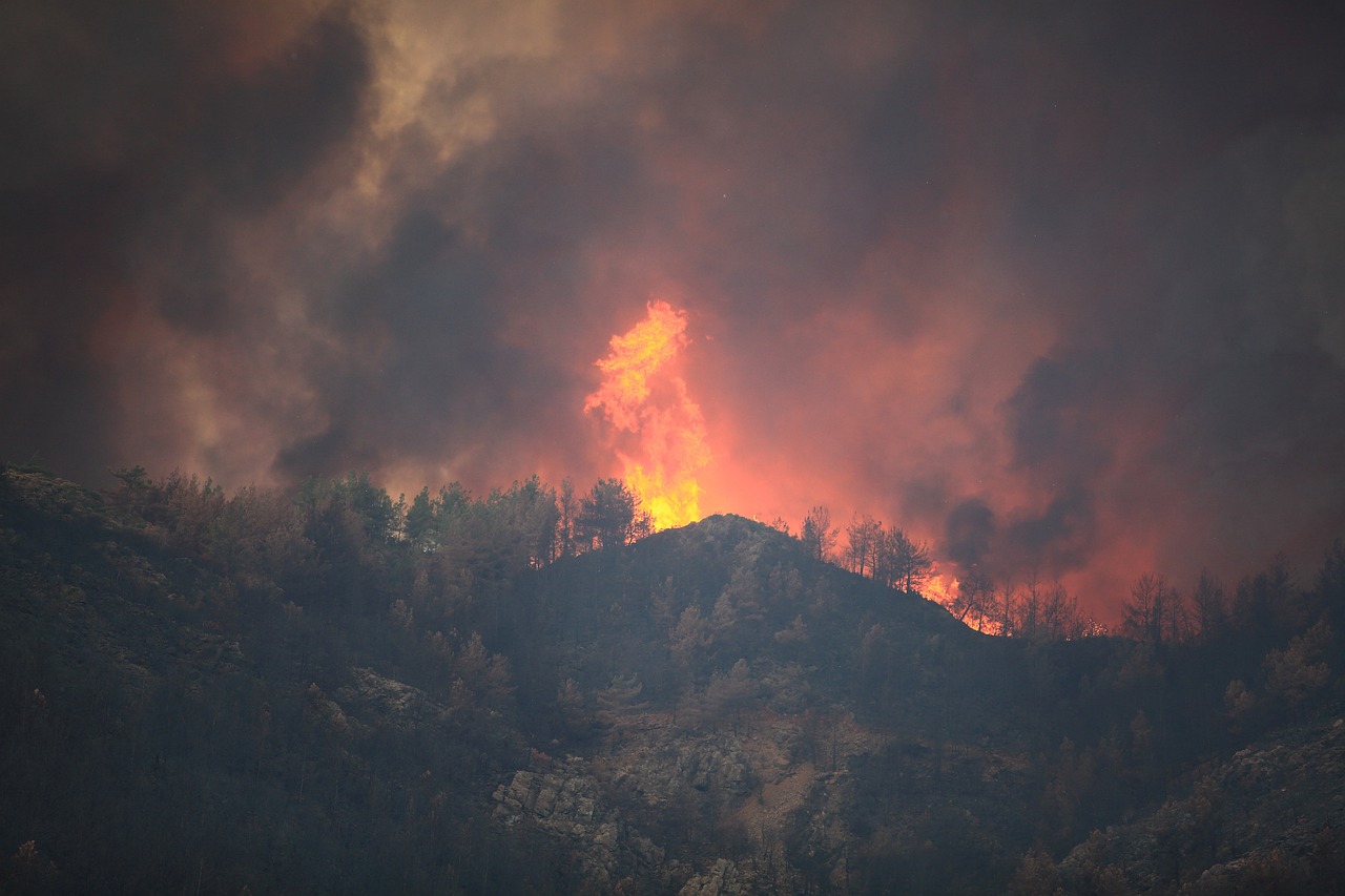 Quels sont les risques de ces feux de forêts ?