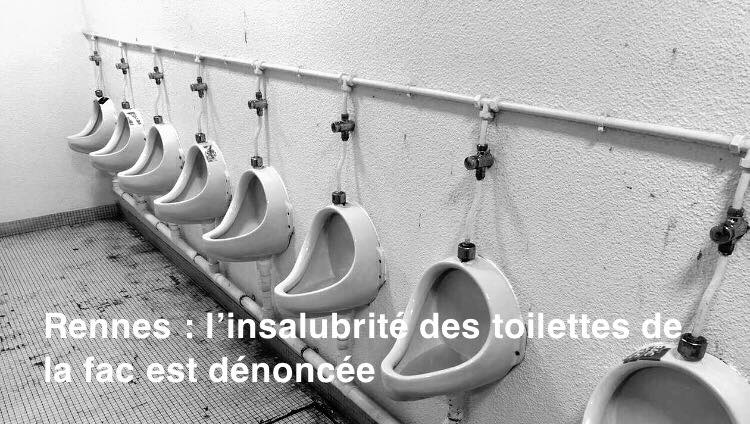 Rennes. L’insalubrité des toilettes de la fac de droit est dénoncée